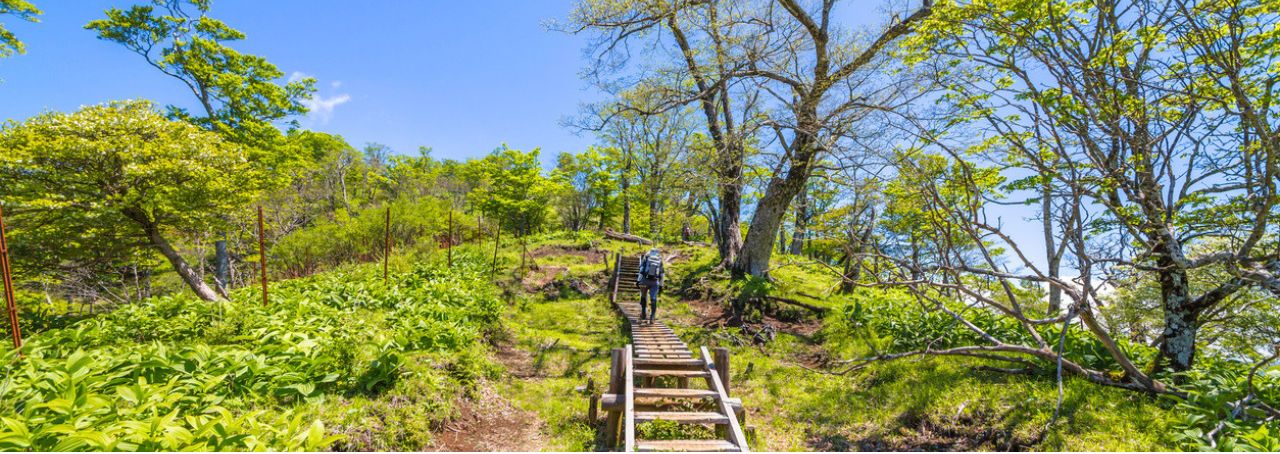 登山