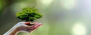 企業の社会的責任 私たちのCSR