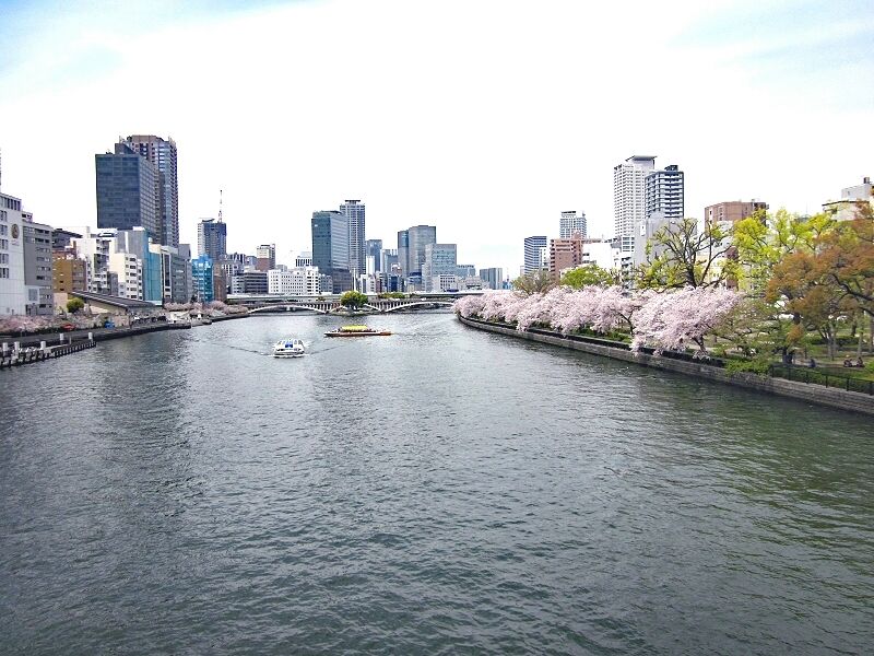 桜の通り抜け（大阪造幣局）
