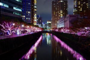 目黒川と冬の桜、高層マンション