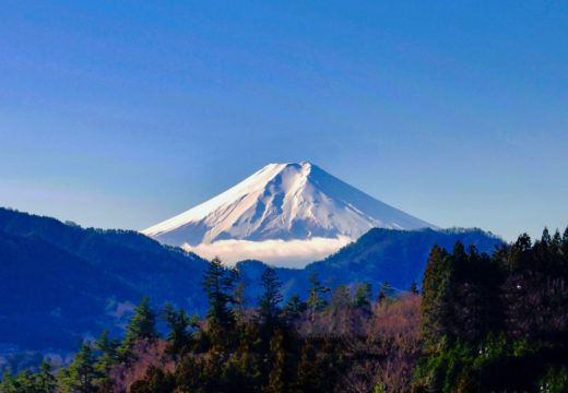 真木より富士山を望む