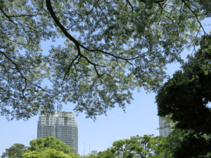 白金台 八芳園