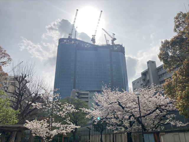 押さえておきたい地価公示の注目ポイント（令和6年）