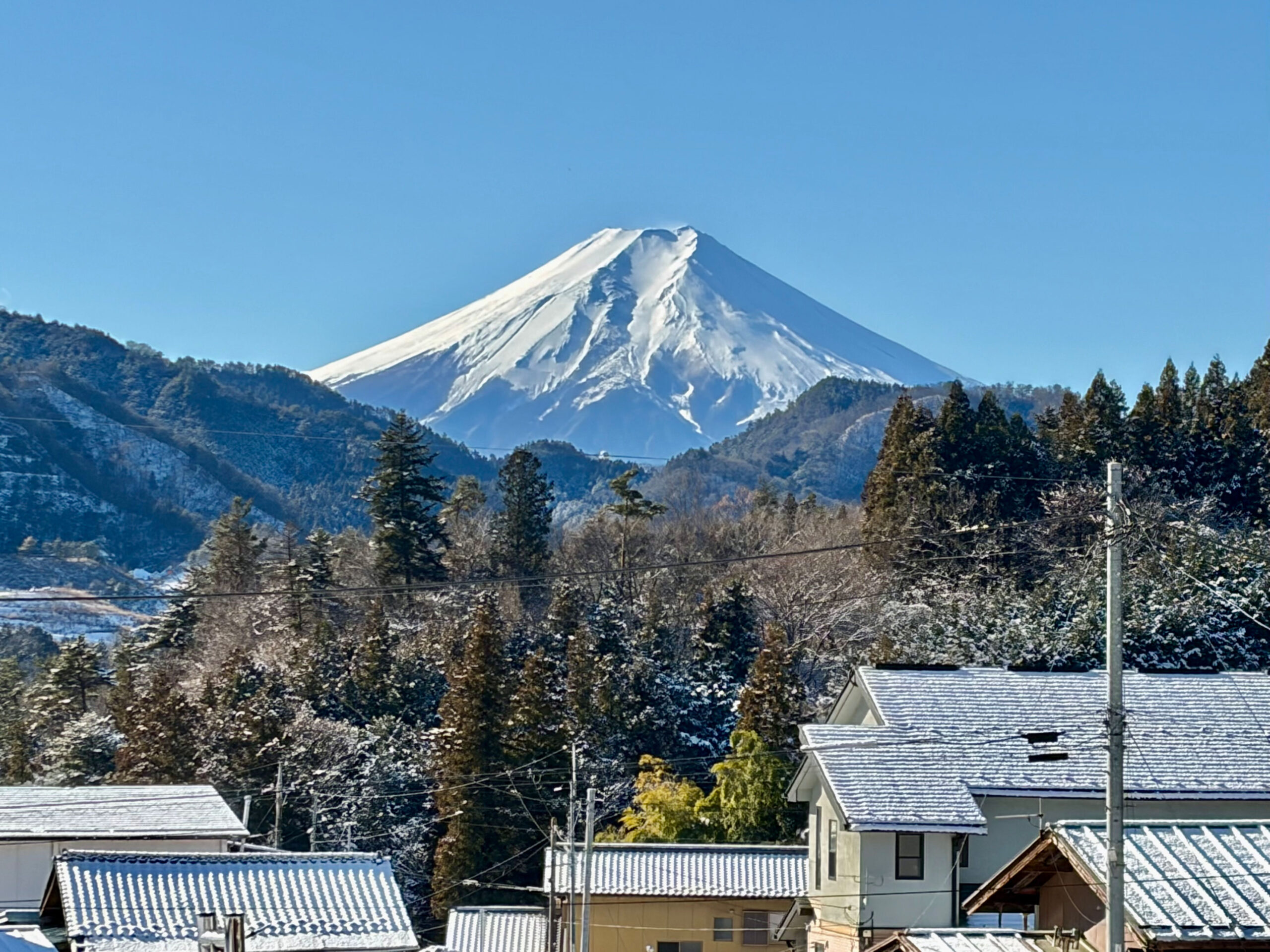 新年明けましておめでとうございます
