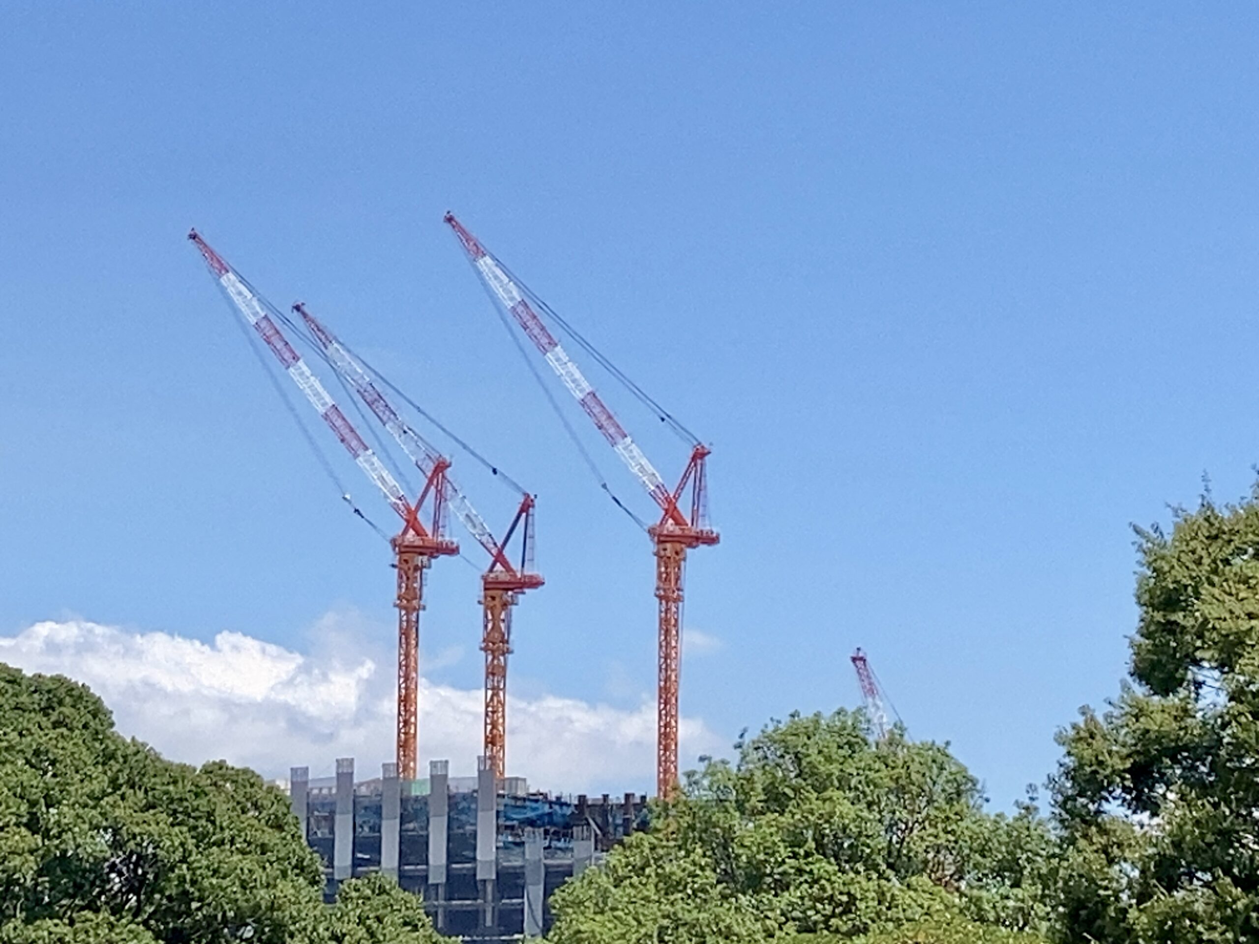 地域分析